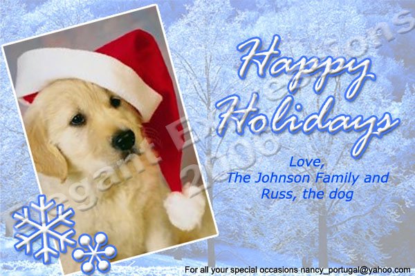 snowflakedog.jpg
